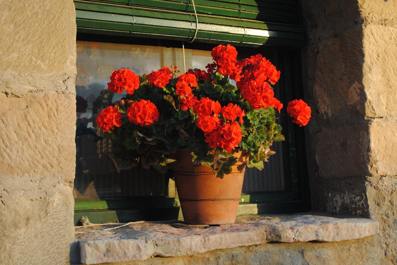 Guara Rural Guest House Panzano Eksteriør bilde